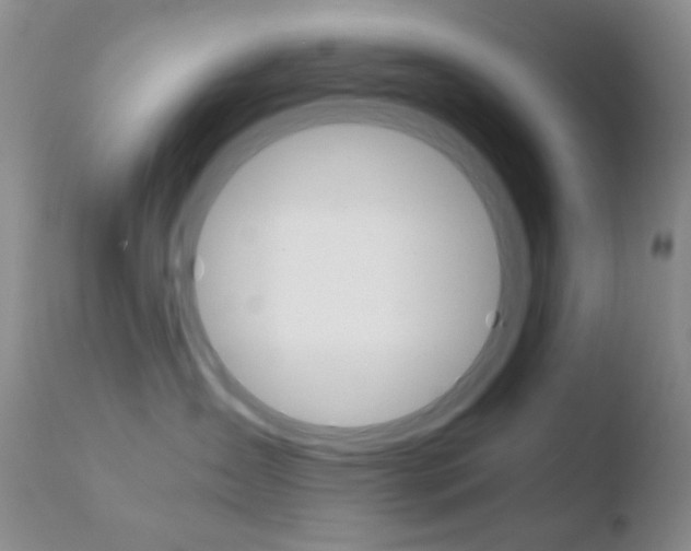 X0000110730431200906121315