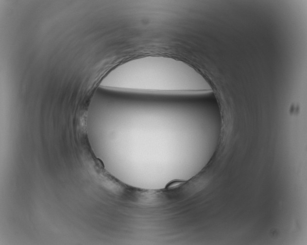 X0000110730432200906121315