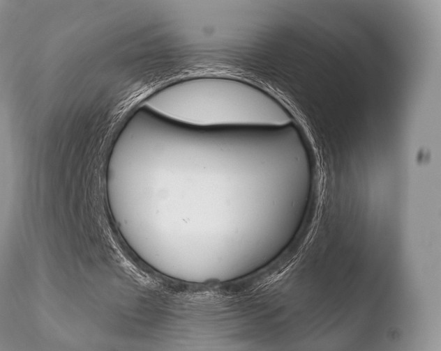 X0000110730433200906121314