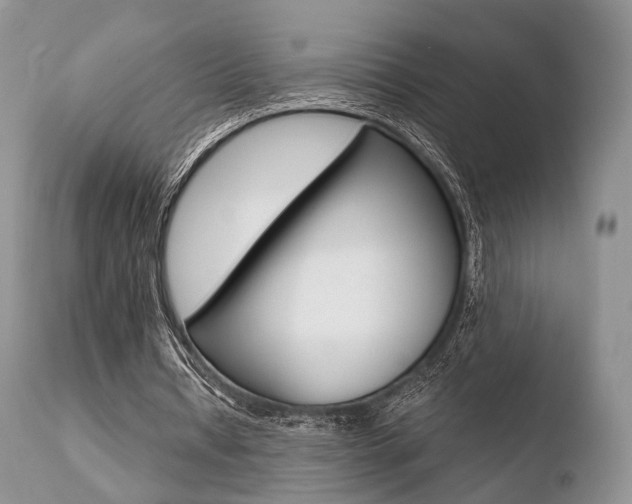X0000110730434200906121314