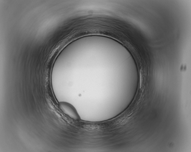 X0000110730435200906121314