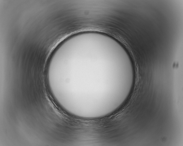 X0000110730436200906121314