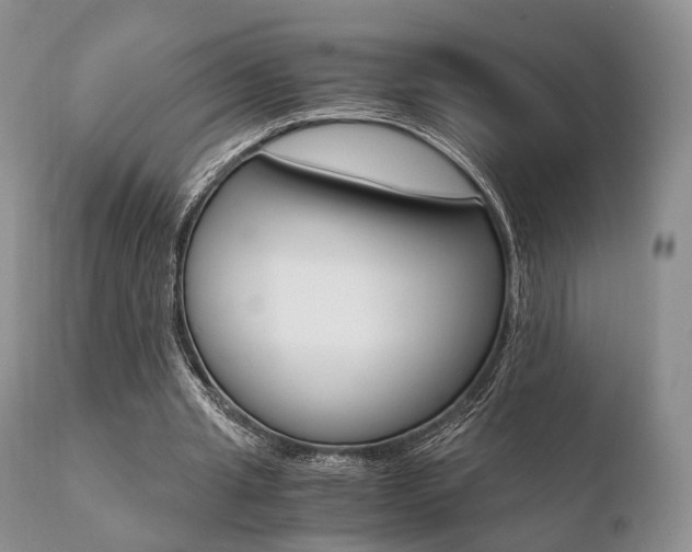 X0000110730437200906121314
