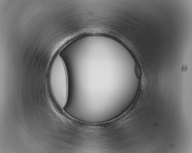 X0000110730438200906121314