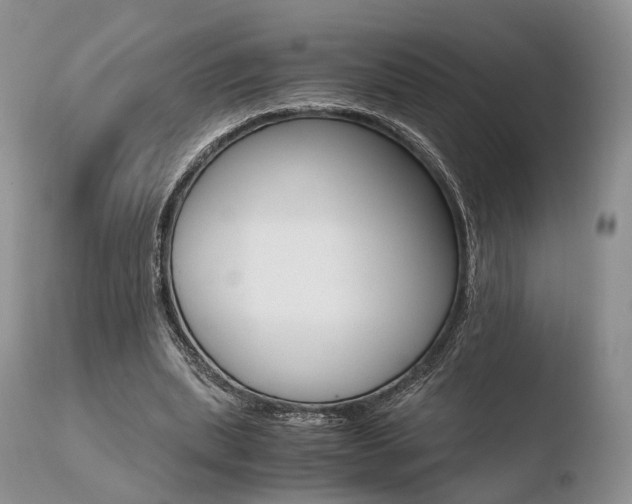 X0000110730439200906121314