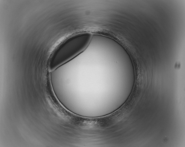 X0000110730440200906121314