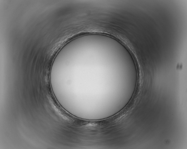 X0000110730441200906121314