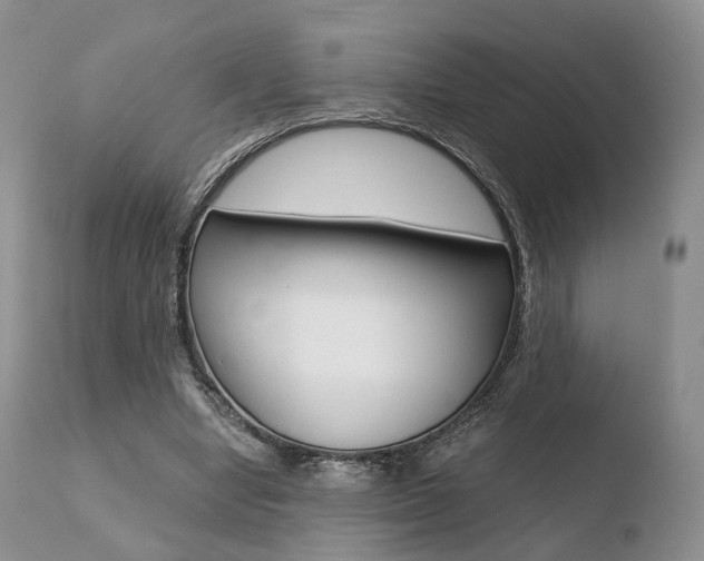 X0000110730442200906121314