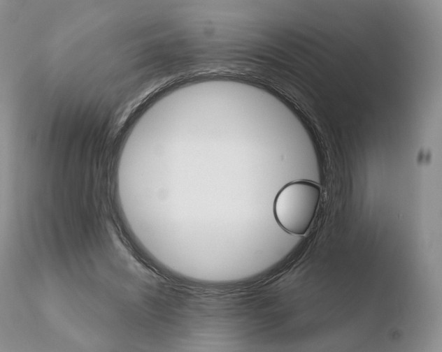 X0000110730444200906121314