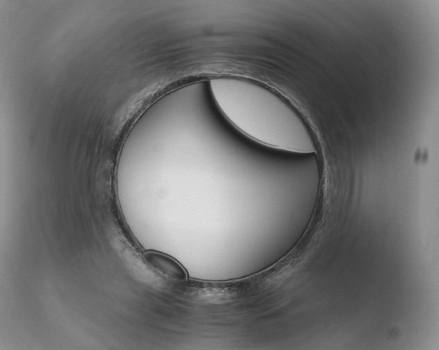 X0000110730445200906121314