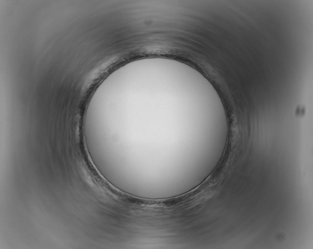 X0000110730446200906121314