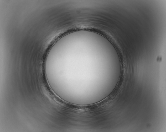 X0000110730447200906121314