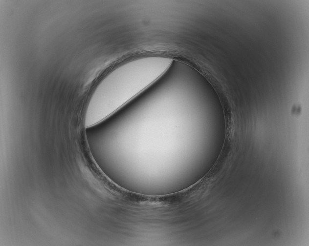 X0000110730448200906121314