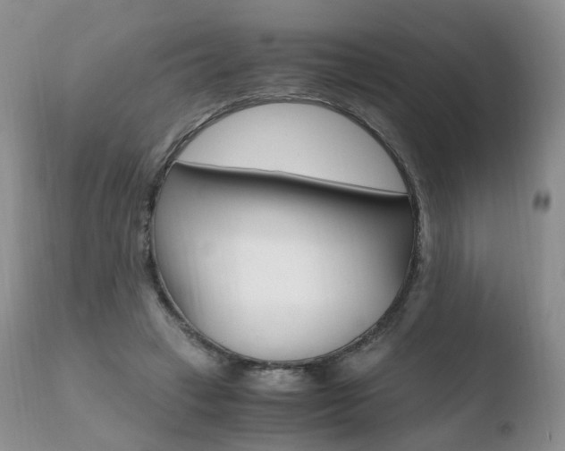 X0000110730449200906121314