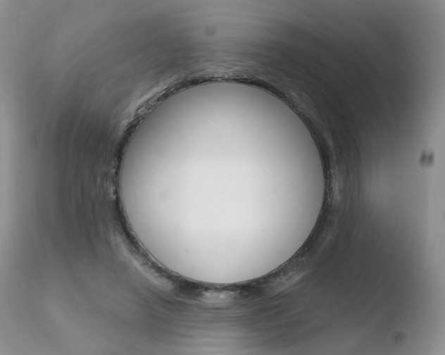 X0000110730450200906121314