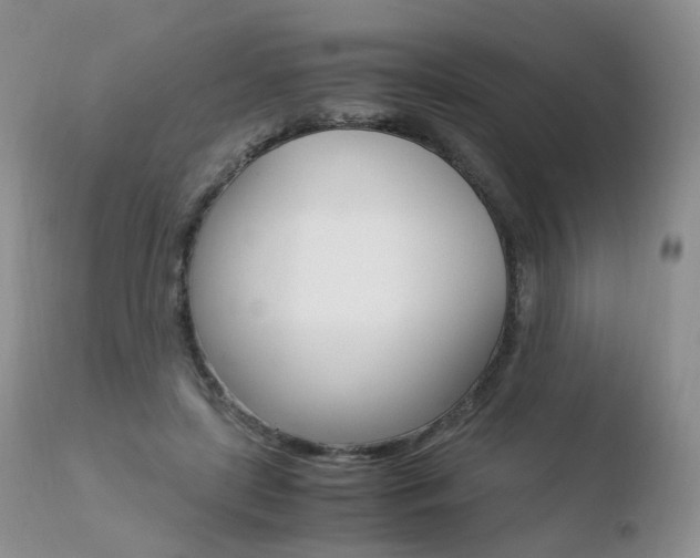 X0000110730451200906121314