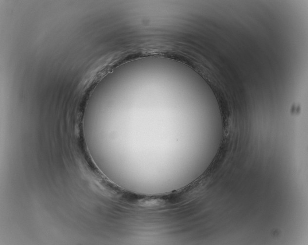 X0000110730452200906121314