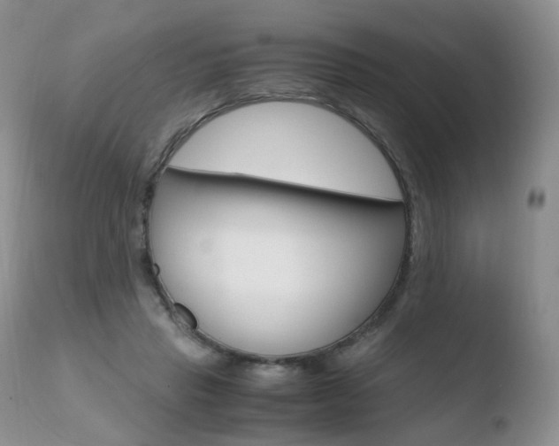 X0000110730453200906121314