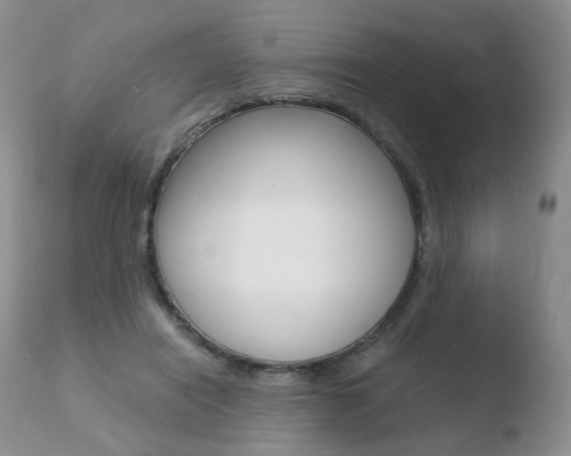 X0000110730454200906121314