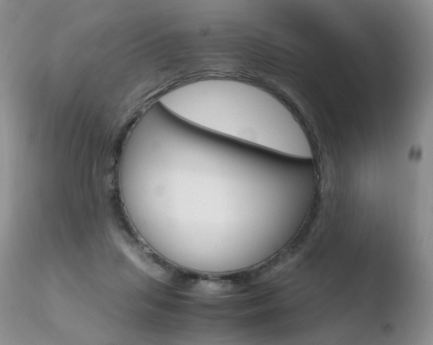 X0000110730455200906121315