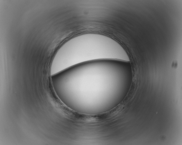 X0000110730456200906121315