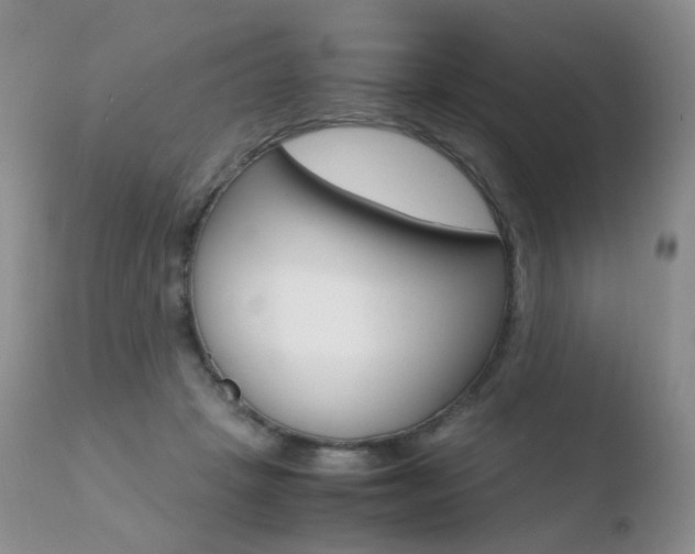 X0000110730457200906121315