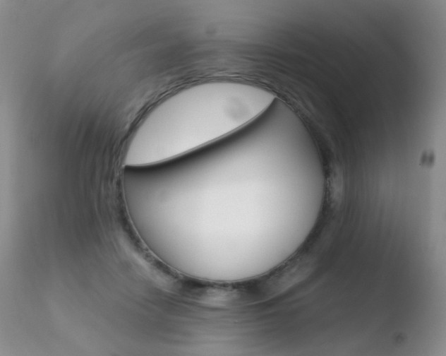 X0000110730458200906121315