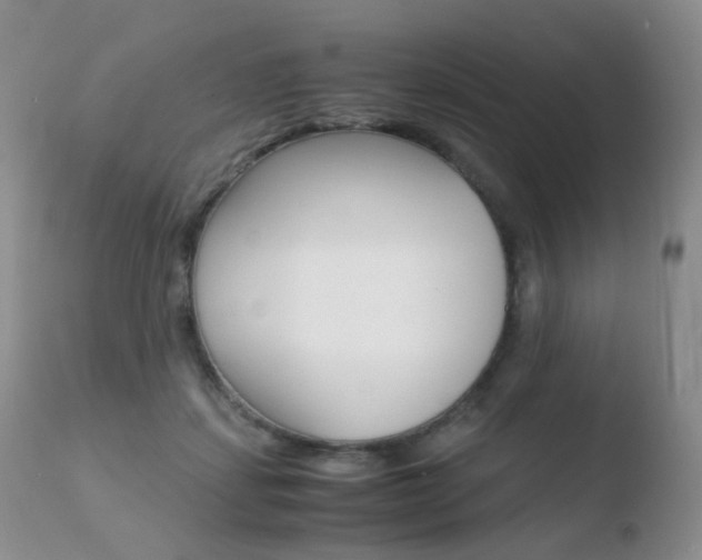 X0000110730459200906121315