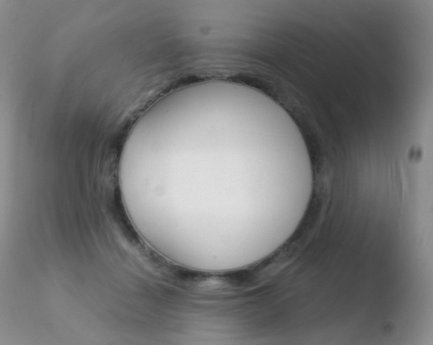 X0000110730460200906121315