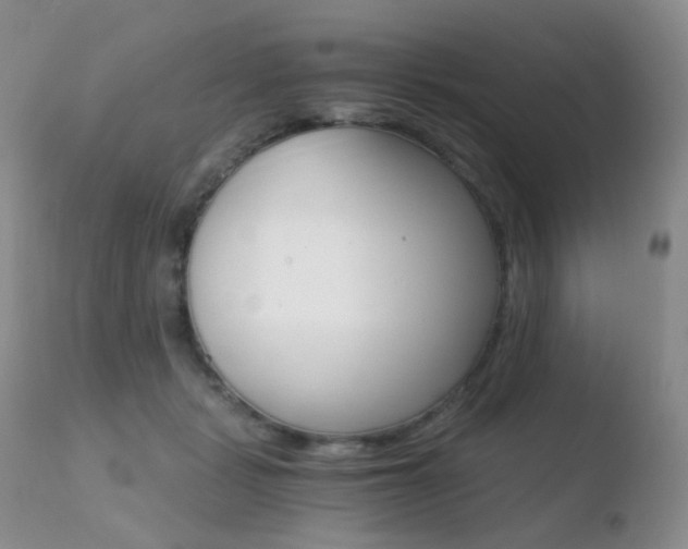 X0000110730461200906121315