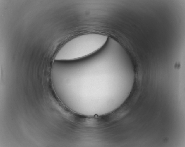 X0000110730462200906121315