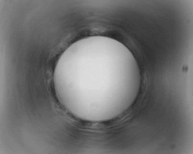 X0000110730463200906121315