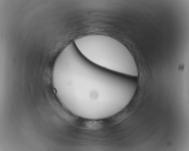 X0000110730465200906121315