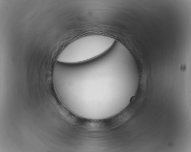 X0000110730466200906121315