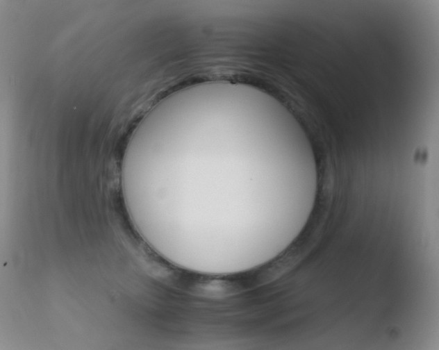 X0000110730467200906121315