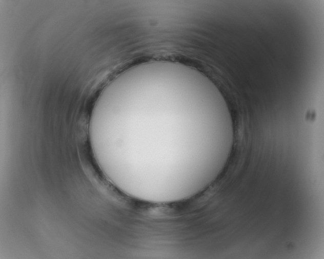 X0000110730468200906121315