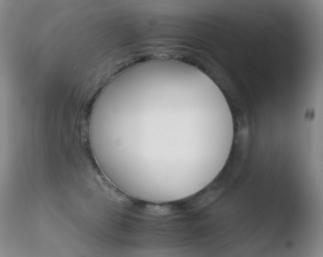 X0000110730469200906121315