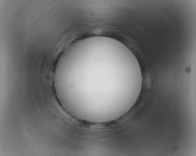 X0000110730470200906121315