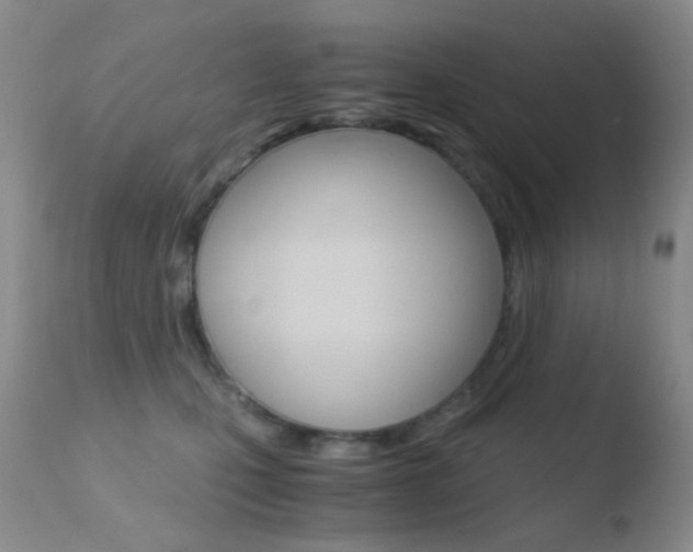 X0000110730471200906121315