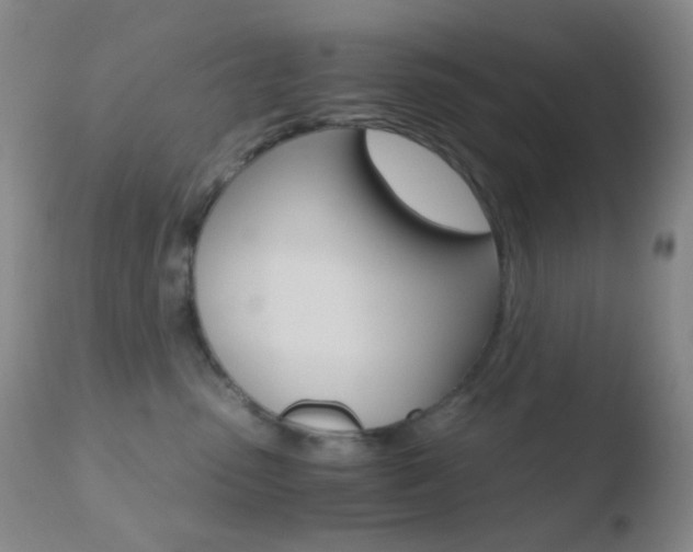 X0000110730475200906121315
