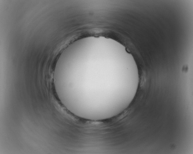X0000110730476200906121315