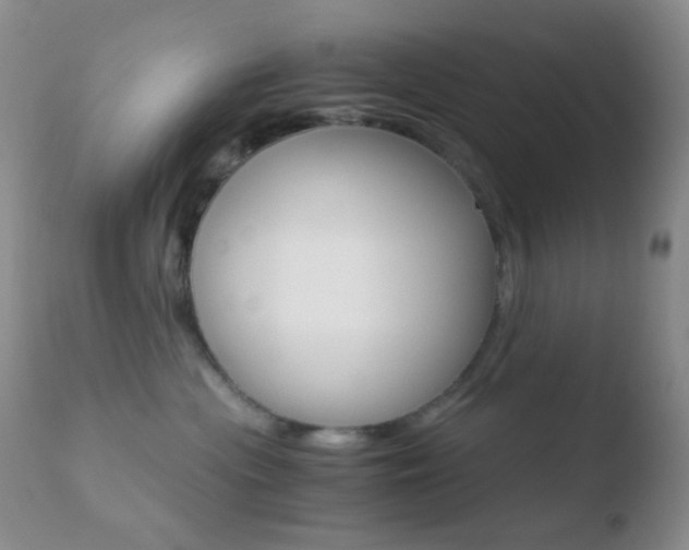 X0000110730477200906121315