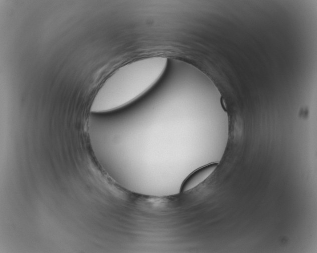 X0000110730478200906121315