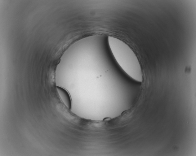 X0000110730479200906121315