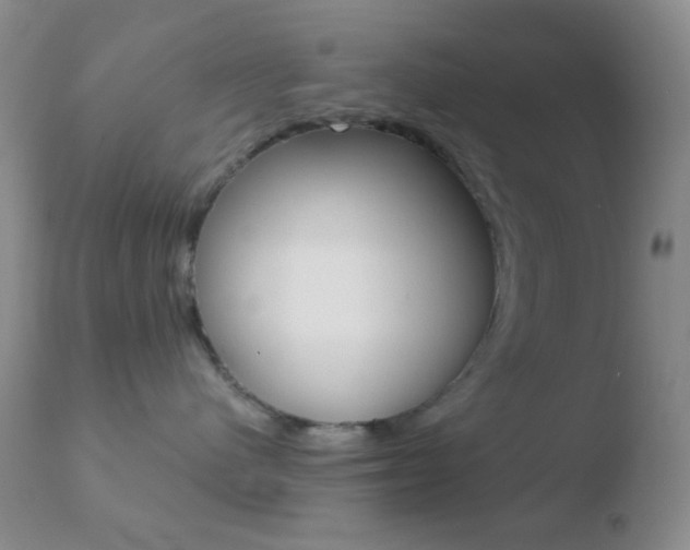 X0000110730480200906121315