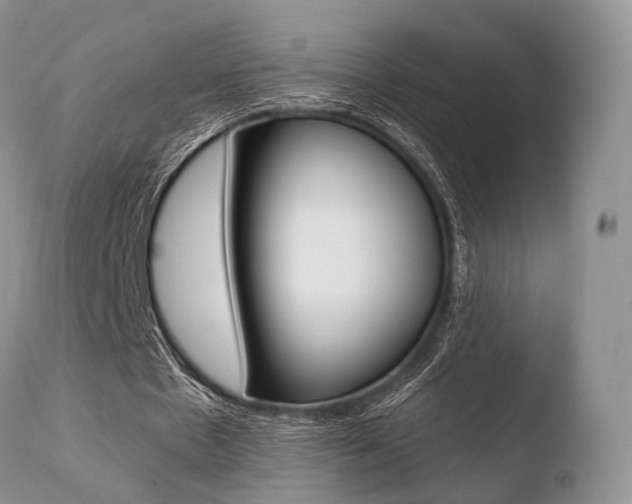 X0000110730481200906121314