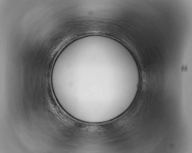 X0000110730482200906121314