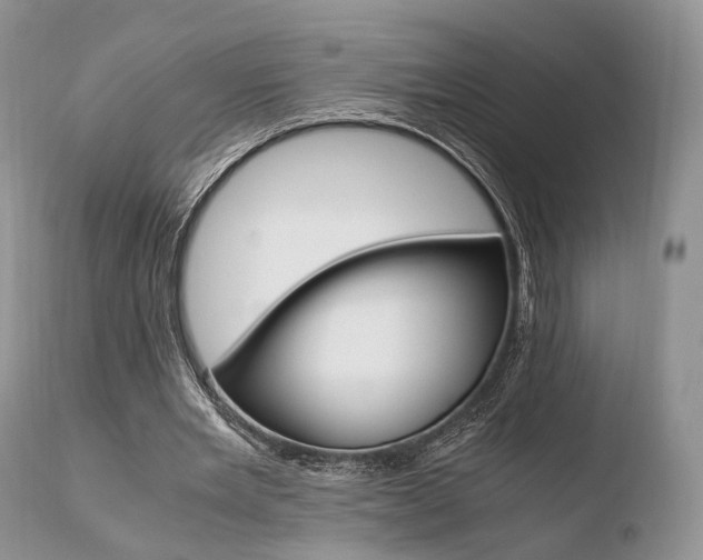 X0000110730485200906121314