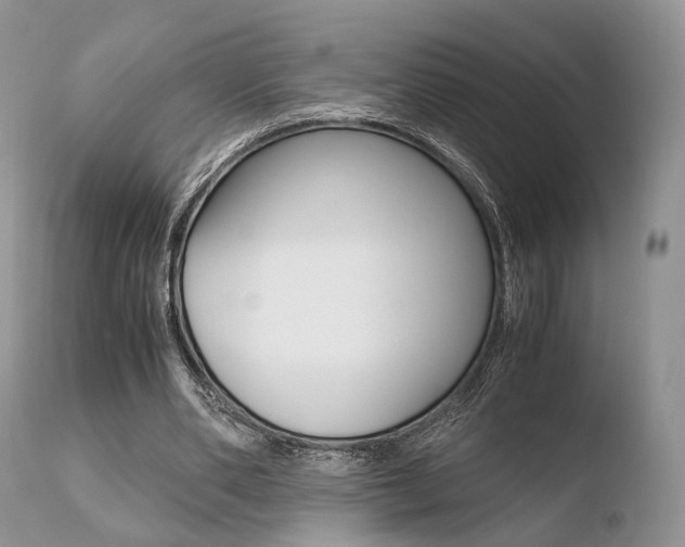 X0000110730486200906121314