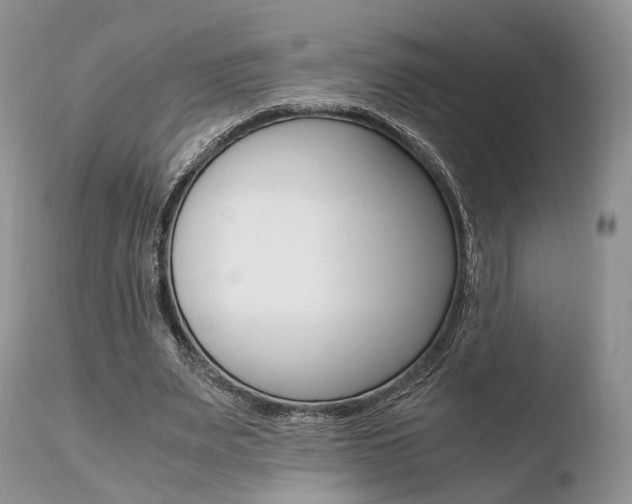 X0000110730487200906121314